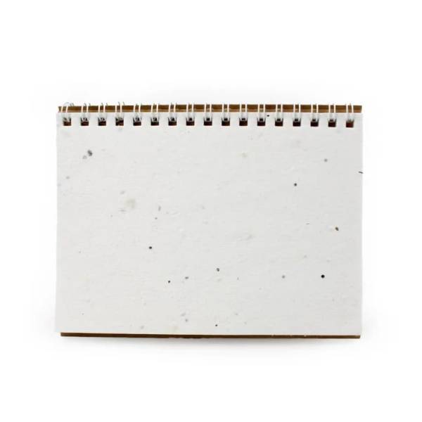 Papier graine sur le Havre