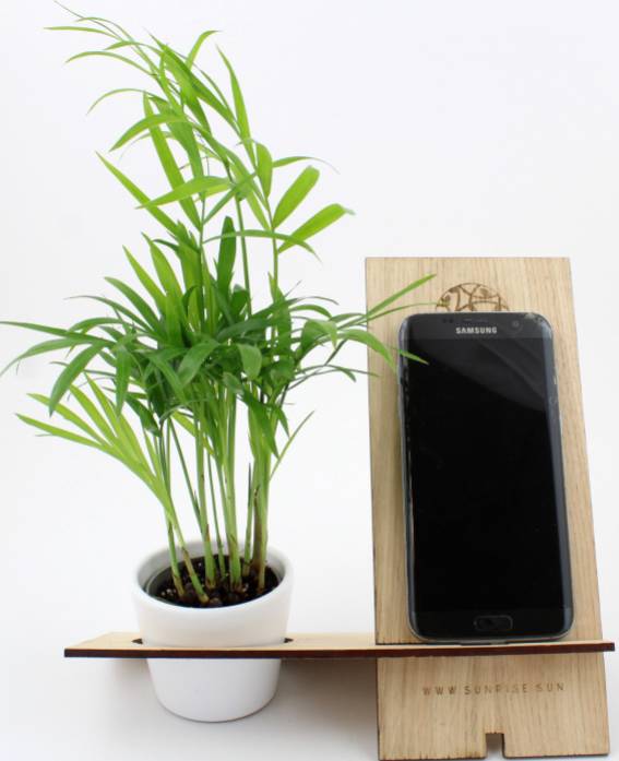 Porte téléphone naturel Le havre