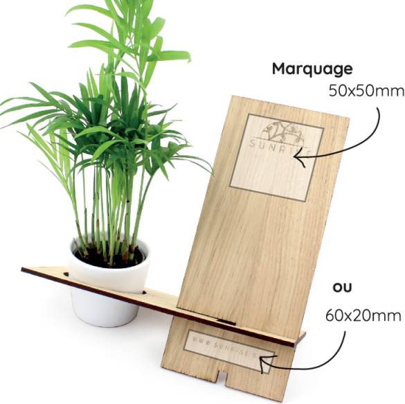 Plante naturel sur Le Havre